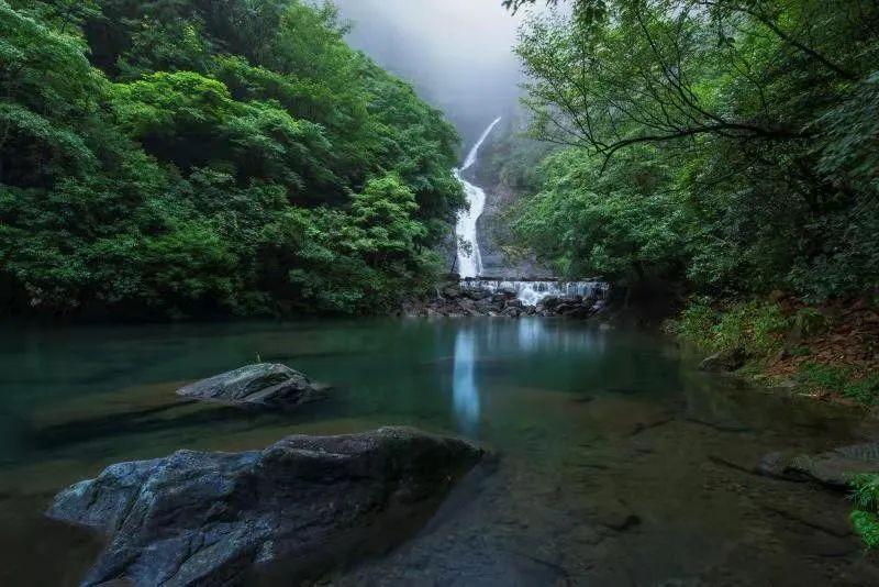 介入治疗术后护理知识，你知道多少？